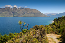New Zealand